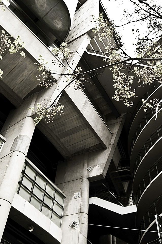 Estadio Santiago Bernabeu | Francesco Pinton - Fotógrafo de Arquitectura
