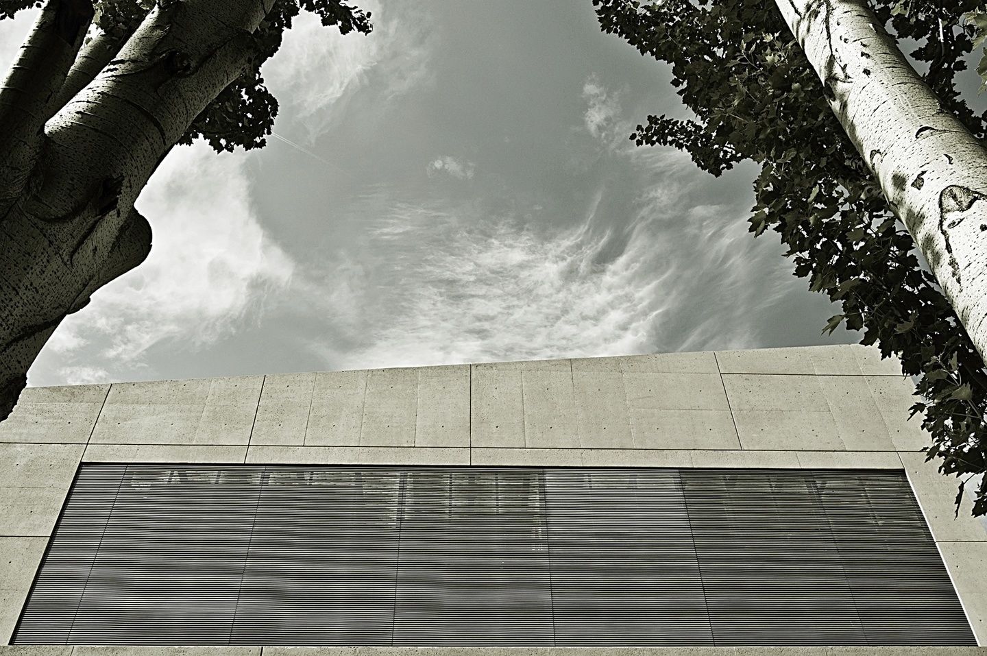 Museo Universidad De Navarra | Francesco Pinton - Fotografía de Arquitectura