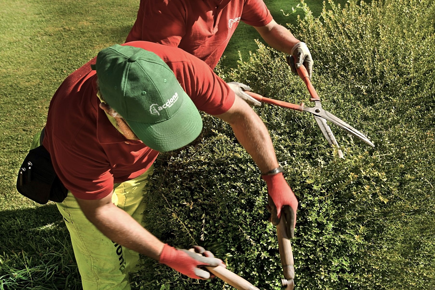 EMPLEADOS DE ACCIONA SERVICE ACONDICIONANDO LAS ZONAS VERDES DE LEÓN - FRANCESCO PINTON - FOTOGRAFÍA SOCIAL